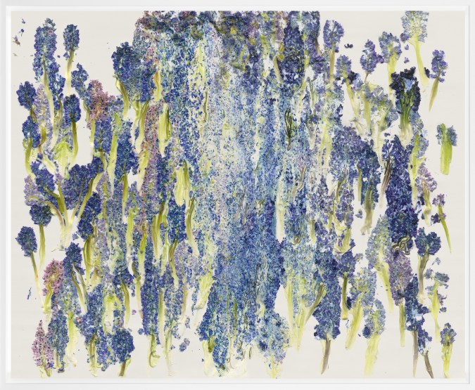 Color photograph of crushed hyacinths against an off white background framed in white