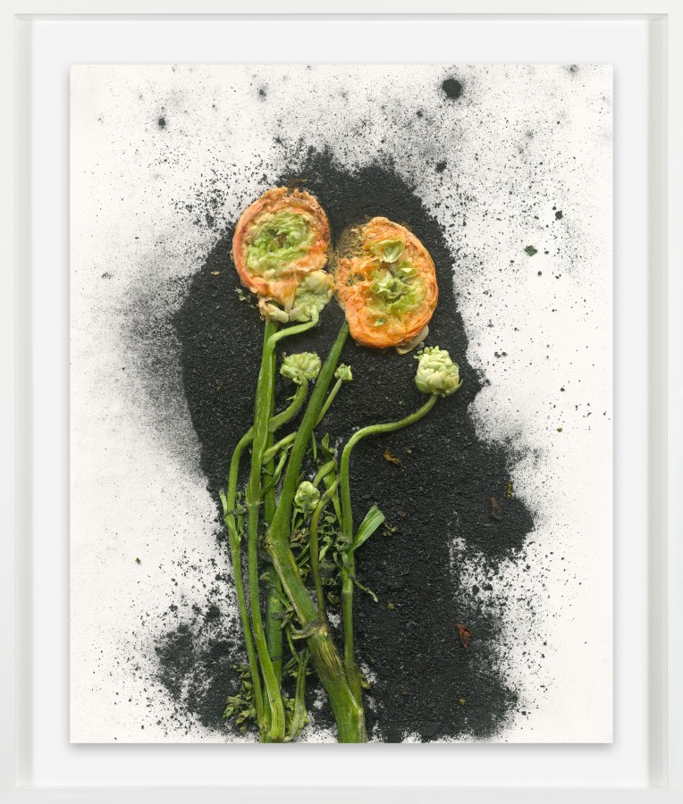Color photograph of two light orange ranunculus smashed against ash on a white background framed in white