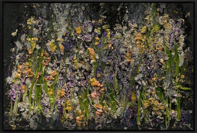 Color photograph of smashed flowers against a black background framed in black
