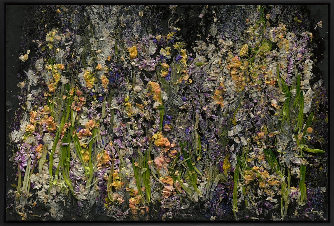 Color photograph of smashed flowers against a black background framed in black