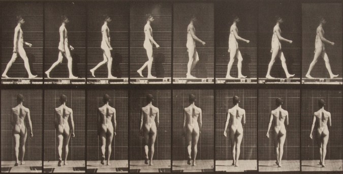 Grid of black and white photographs of a person in the process of walking, from the side and rear
