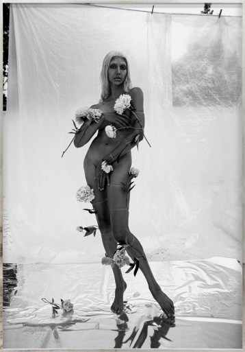 Color image of a black and white photograph of a nude figure covered with flowers and covering their body with their hands framed in distressed metal