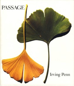 Color image of a book cover with two leaves on white background