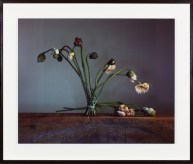 Color photograph of several decaying flowers tied together with fishing wire framed in black