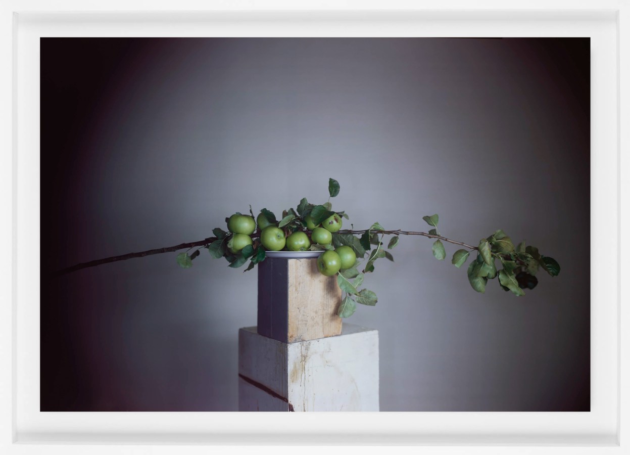 Color photograph of a still life with an apple tree branch on stacked pedestals, framed in a white frame