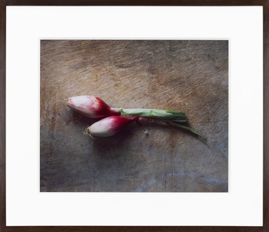 Color photograph of a pair of red onions framed in black