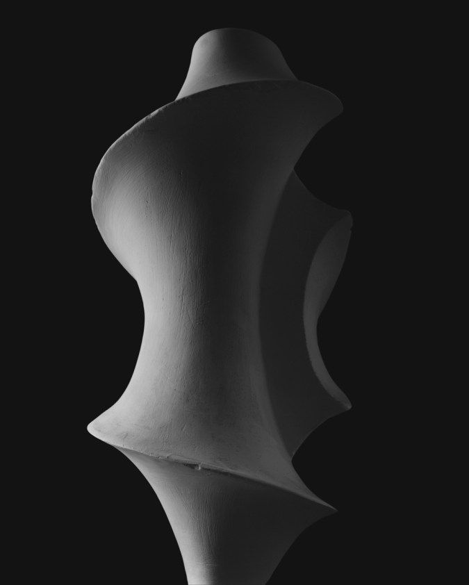 Black-and-white photograph of an organic spiralling form like the inside core of a seashell
