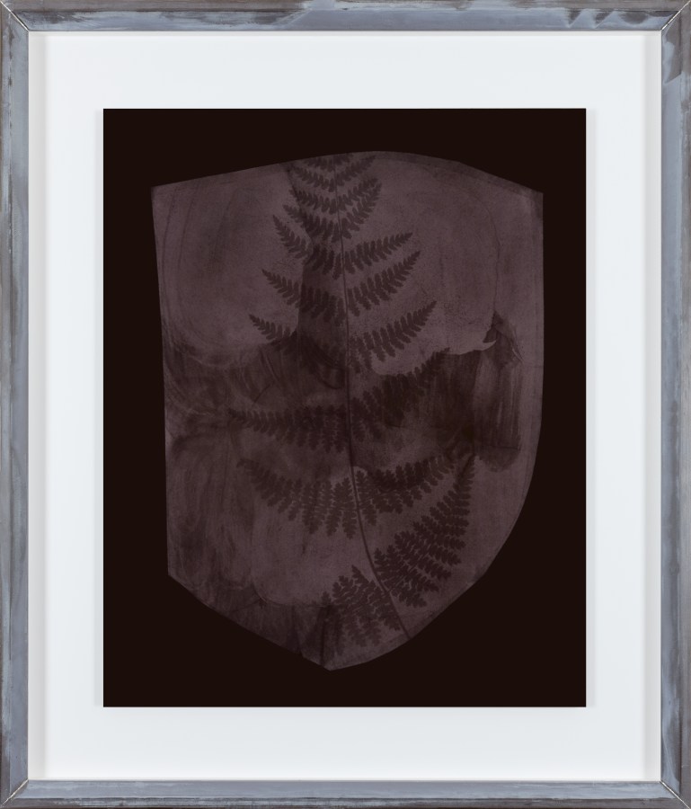 Color photograph of a sepia toned leaves with a black background in an aluminum frame